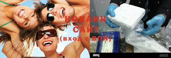 ГАЛЛЮЦИНОГЕННЫЕ ГРИБЫ Алзамай